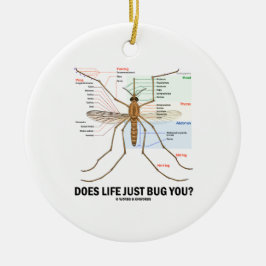 Draagt het leven je alleen maar? (Muggenanatomie) Keramisch Ornament
