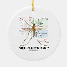 Draagt het leven je alleen maar? (Muggenanatomie) Keramisch Ornament