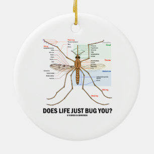 Draagt het leven je alleen maar? (Muggenanatomie) Keramisch Ornament
