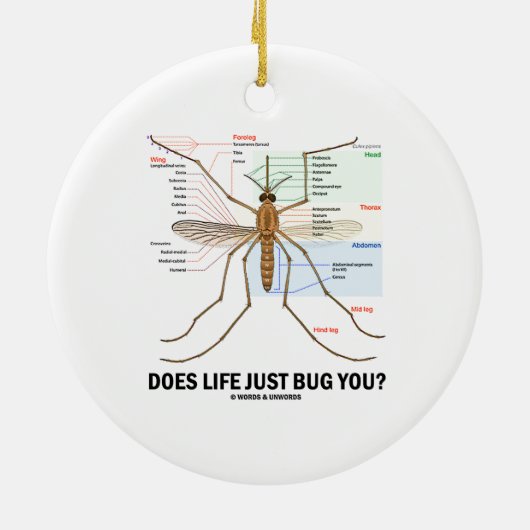 Draagt het leven je alleen maar? (Muggenanatomie) Keramisch Ornament (Achterkant)