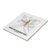 Draagt het leven je alleen maar? (Muggenanatomie) Tegeltje (Zijkant)