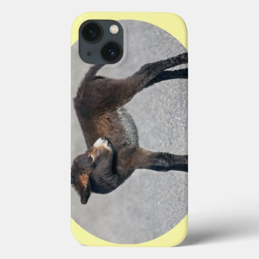 Draagtas van Burro iPad Case-Mate iPhone Case (Achterkant)