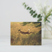 Draaguitsprong door het veld briefkaart (Staand voorkant)