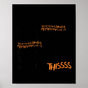 Draai de botten zwart kat halloween kostuum cadeau poster