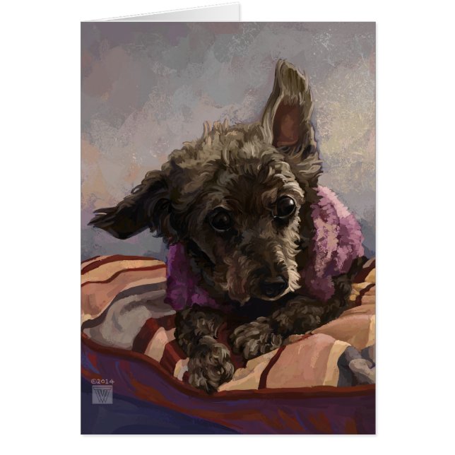 Draai de poel (Voorkant)