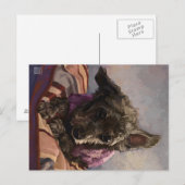 Draai de poel briefkaart (Voorkant / Achterkant)