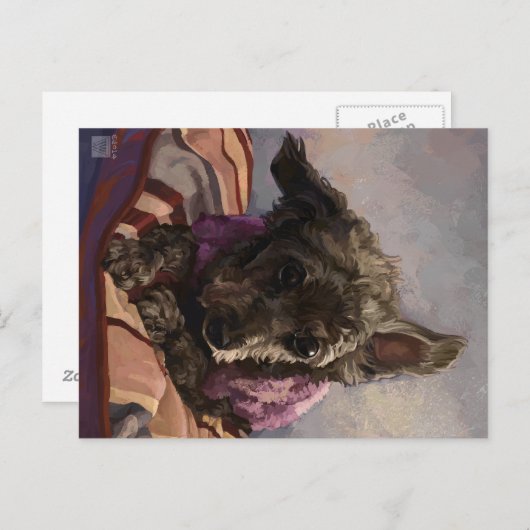 Draai de poel briefkaart (Voorkant / Achterkant)