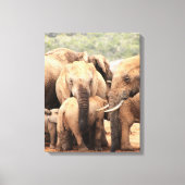 Draai het kleine olifantencanvas vast canvas afdruk (Voorkant)