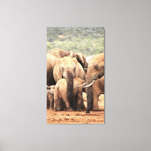 Draai het kleine olifantencanvas vast canvas afdruk (Voorkant)