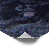 Draai het koraal aan poster (Hoek)