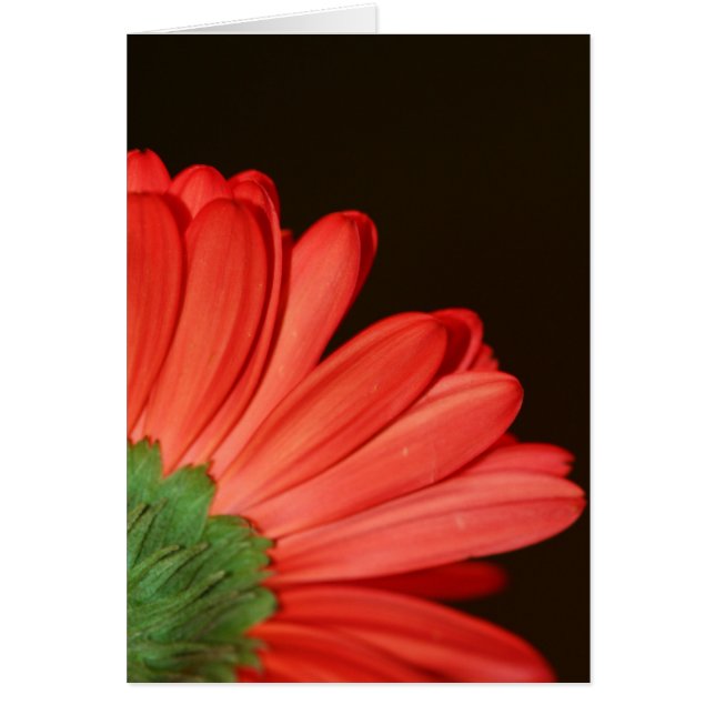 Draai me niet om. (Voorkant)