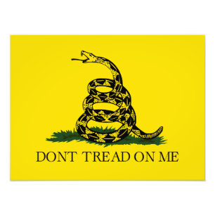 Draai me niet op Gadsden vlag Foto Afdruk
