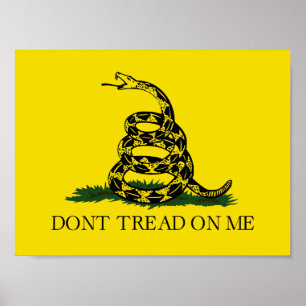 Draai me niet op Gadsden vlag Poster