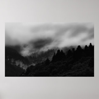 Draai over het bos poster