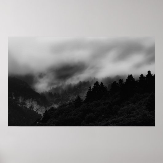 Draai over het bos poster (Voorkant)