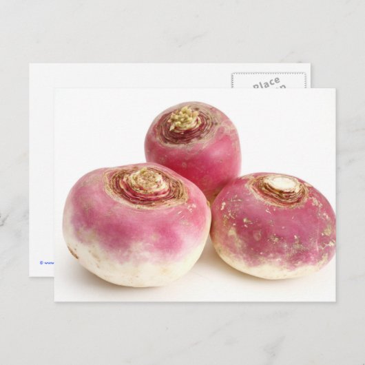 Draaien Briefkaart (Voorkant / Achterkant)