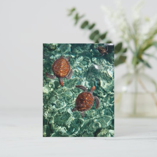 Draaien Briefkaart (Staand voorkant)