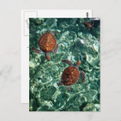 Draaien Briefkaart (Voorkant / Achterkant)