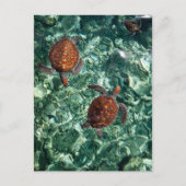 Draaien Briefkaart (Voorkant)