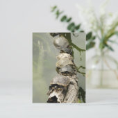 Draaien Briefkaart (Staand voorkant)