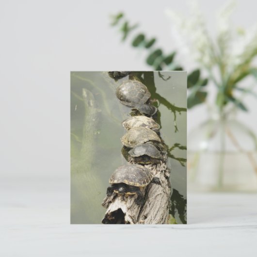 Draaien Briefkaart (Staand voorkant)