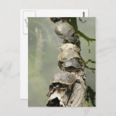 Draaien Briefkaart (Voorkant / Achterkant)