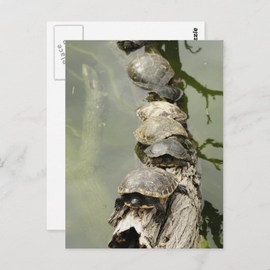 Draaien Briefkaart (Voorkant / Achterkant)