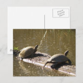 Draaien Briefkaart (Voorkant / Achterkant)