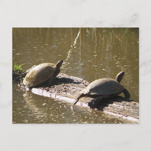 Draaien Briefkaart (Voorkant)