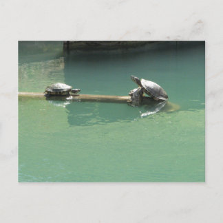 Draaien Briefkaart