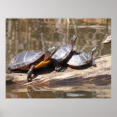 Draaien die op het Poster van het stamhout zitten (Voorkant)