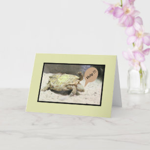 DRAAIEN OVER/SORRY OVER UW ONGEVAL/HUMO KAART