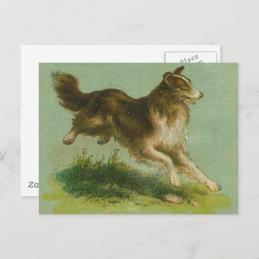  draaiend Briefkaart (Voorkant / Achterkant)