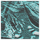 Draaiend Zee..... Stof (Close Up)