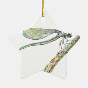 Draaiende dragonfly op een filiaal keramisch ornament