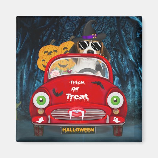 Draaiende hond van de beagle magneet (Voorkant)