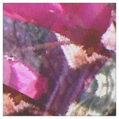 Draaiende Magnolia's.... Stof (Close Up)