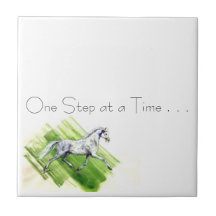 Draaiende Pony . . .