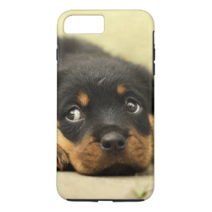 Draaiende puppy dog iPhone 8/7 plus hoesje