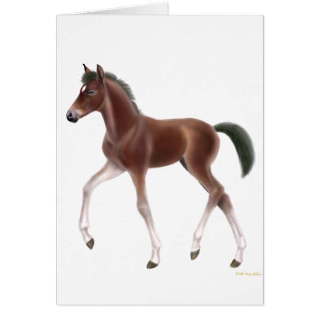 Draaiende schuimkaart (Voorkant)