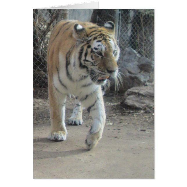 Draaiende zwarte tijkkaart (Voorkant)