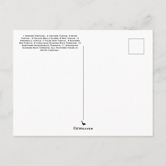 Draaiklepen, schildpadden en schroefpijpen, van ge briefkaart (Achterkant)