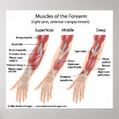 Draaikrankel, met een etiket op tekening. poster (Voorkant)