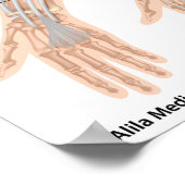 Draaikrankel, met een etiket op tekening. poster (Hoek)