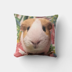 Draaikussen van cavia buitenkussen