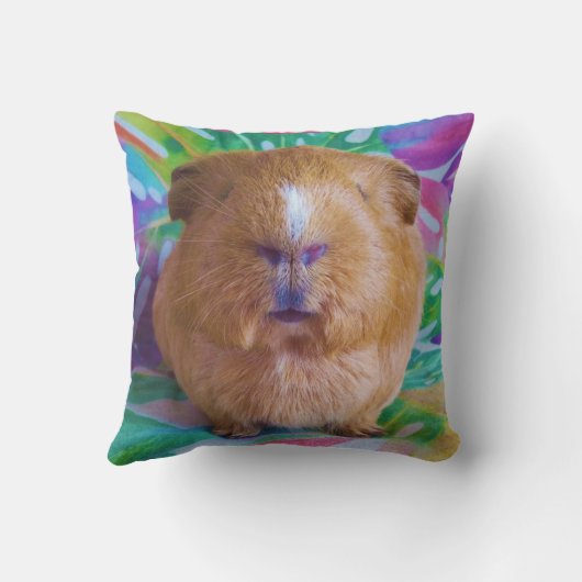 Draaikussen van cavia buitenkussen (Achterkant)