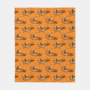 Draaiorgel Herfst Najaar Draaiorgelist Folkmuzikan Fleece Deken