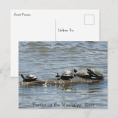 Draait op een Logon op de Mississippi, Foto Po Briefkaart (Voorkant / Achterkant)