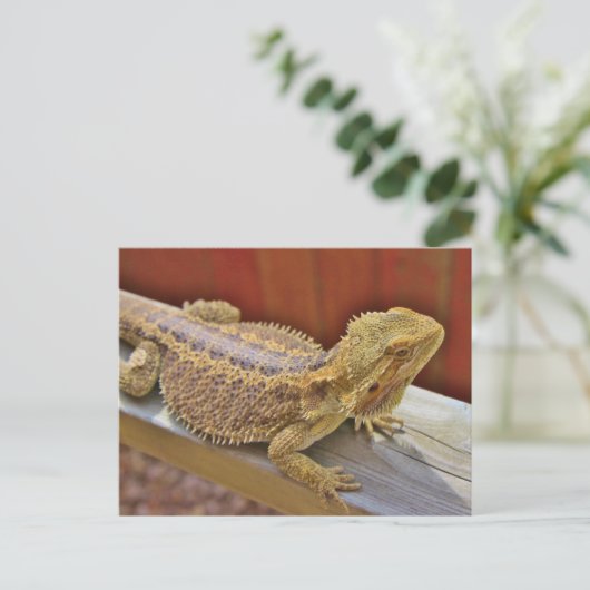 Draak 2 testen briefkaart (Staand voorkant)