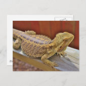 Draak 2 testen briefkaart (Voorkant / Achterkant)